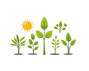 Vibrant illustration of sun and various growth stages of plants