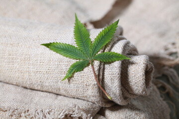 Industrial hemp material cannabis leaf fabric