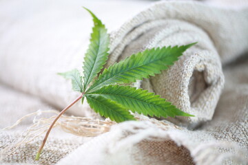 Industrial hemp material cannabis leaf fabric