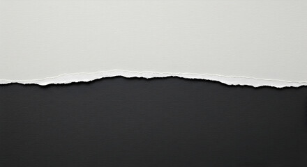 Ripped Paper Edge Dividing Black And White Creative Background Template