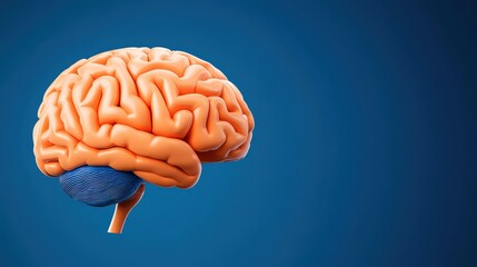 Human brain model floating on solid blue background in digital concept style showing realistic anatomical structure in high quality science medical photo