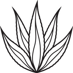 aloe vera leaves line art, black outline, vector and illustration, coloring book page line art drawing