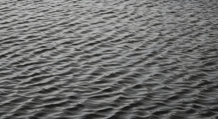 Fototapeta premium Dark Water Texture With Gentle Ripples Reflecting Light Calmness