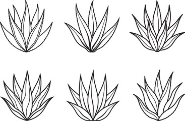 set of aloe vera leaves line art, black outline, vector and illustration, coloring book page line art drawing