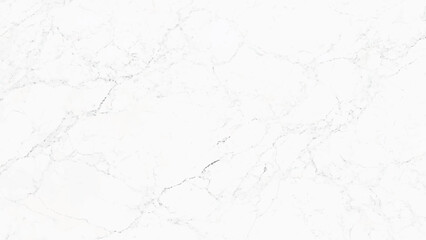 white marble with black veins background 