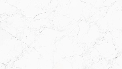 white marble with black veins background 