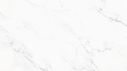 Marble granite white panorama tile background
