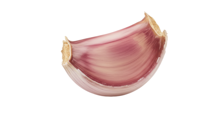 A luscious garlic clove glistens against a stark void showcasing natures subtle beauty