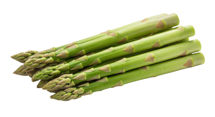Asparagus spears bundled green and fresh ready for a culinary delight