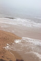 Ocean shore close-up. Wet sand. Sea foam. Waves. Color image. Poster. Wallpaper. Background. Postcard.