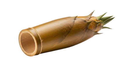 Bamboo shoot on black a study of texture form and earth tone