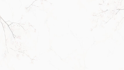 Panorama of white marble stone horizontal elegant white marble background