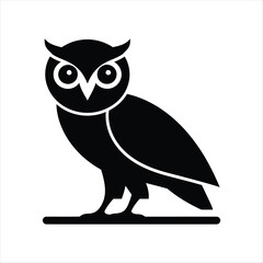 owl on white background