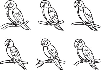 set of cute macaw sitting on branch line art, black outline, vector and illustration, coloring book page line art drawing