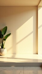 Bright sunlight on beige wall and concrete platform in modern interior, platform, interior