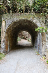 Obraz premium Old stone tunnel n Minoh forest
