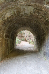 Fototapeta premium Tunnel in the forest of Minoh national park