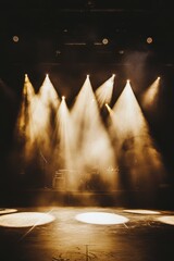 Bright Stage Lights Casting Shadows in Empty Concert Venue