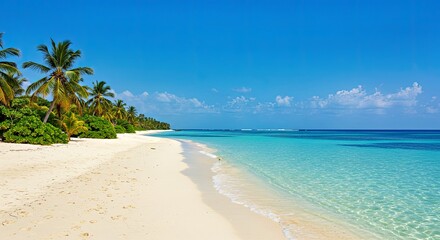 Dreamy White Sand Beach on Remote Tropical Island Crystal Clear Turquoise Waters