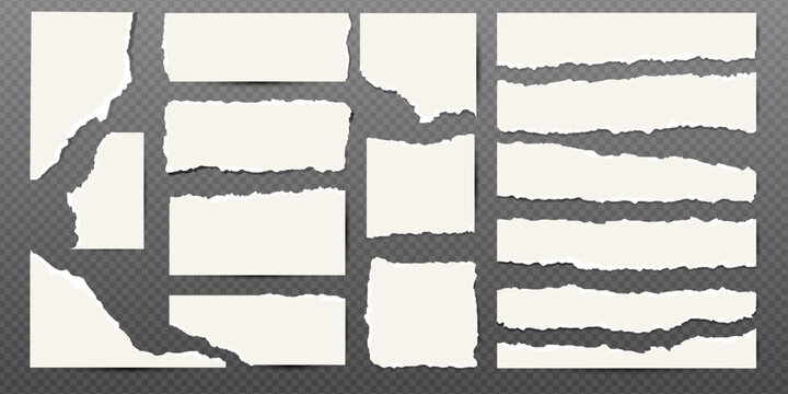Set of white torn notebook paper pieces. Ripped paper strips. Realistic notepad sheets, scraps of notebook page, with torn edges. Vector illustration.