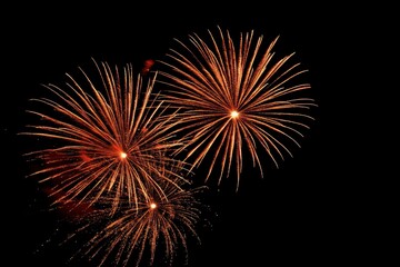 Vibrant Fireworks Display with Bright Sparks in Night Sky