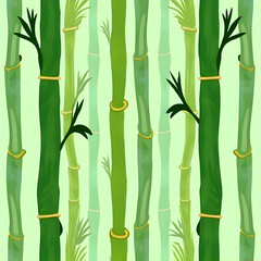 Obraz premium Green bamboo pattern as background