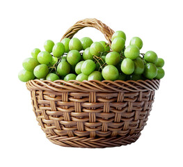 Harvesting fresh green grapes orchard food natural light isolated on transparent background