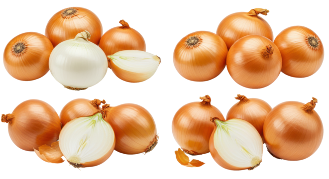 Onion Assemblage Golden spheres  halved whites glow against the infinite void