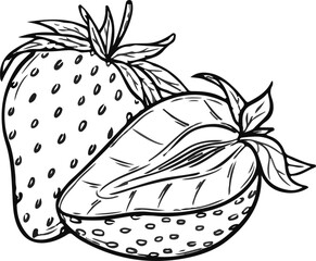 Drawing Two Strawberries  outline easy