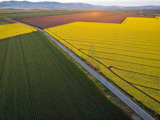 Splitting road