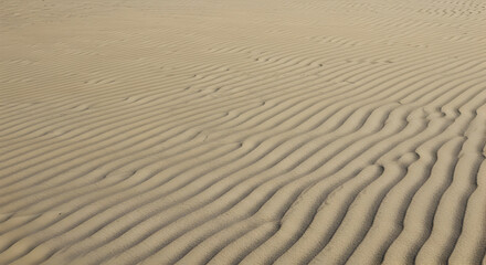 Obraz premium Smooth Sand Ripples Creating Organic Forms in an Arid Desert Landscape