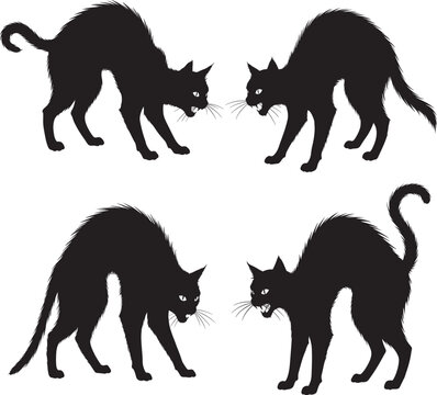 black cat silhouettes in aggressive and startled postures with arched backs hissing  