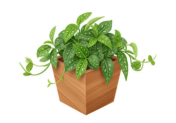 Naklejka premium Elegant houseplant with vibrant green foliage and intricate spot patterns in wooden pot