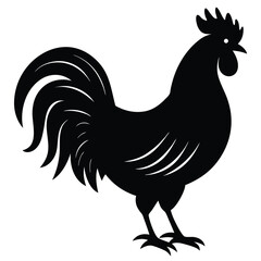 rooster isolated on white