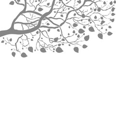 Shadow overlay effect of blurred natural leaf on transparent background. Tree branch leaves shadow background. gray shadow and light effect, summer  mockup design elements, png shadow background