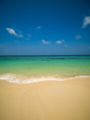 Obraz premium Generated image