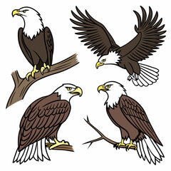 Bald Eagle Illustrations: 4 Poses, Vector Art, Brown & White.