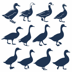 Duck & Goose Silhouettes: 12 Professional Vector Illustrations - Farm Animals.