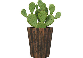 Fototapeta premium Prickly Pear Cactus in a Rustic Wooden Pot Adds Southwest Charm
