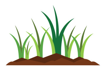 Grasses Growing on Soil White Background