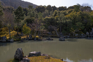 京都、天龍寺、世界遺産、庭園、佛寺、寺院、文化財、木造建築、古代建築、日本文化、歷史名勝、古都京都の文化財、木、綠色、青空、池塘