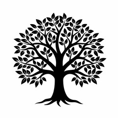 Obraz premium tree with silhouette