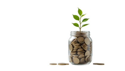 Jar of money plant economy green on transparent background, investment concept