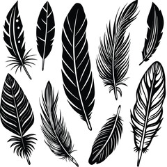 set of black feathers vector