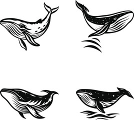 Blue Whale Silhouette