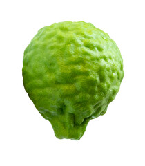 Single fresh green bergamot fruit or kaffir lime isolated in png file format