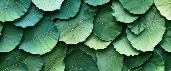 Obraz premium A digital artwork featuring an abstract pattern of overlapping leaves.