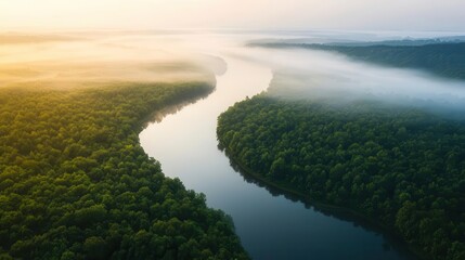 Fototapeta premium A fogcovered river winding through an ancient European woodland, morning sunlight breaking through the mist