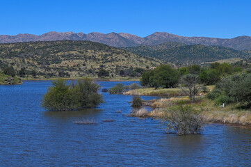Le parc naturel Avis Dam en Namibie