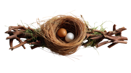 Nest of New Beginnings: A close-up shot of a meticulously crafted bird's nest, cradling two pristine eggs, perched gently upon a natural branch, evokes the promise of life. 